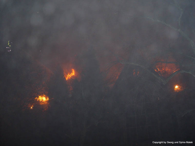 Brand der St.Leonhard-Kirche  08