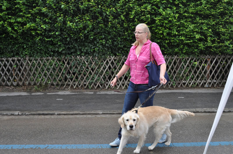 Gassenfest 2012  029