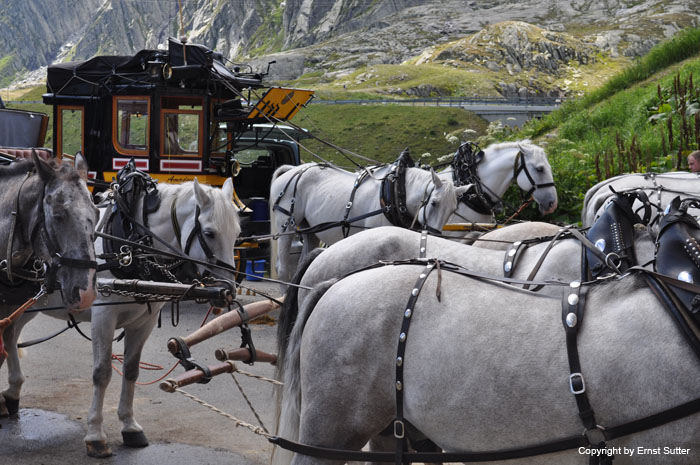 St.Gotthard  089