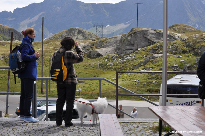 St.Gotthard  106