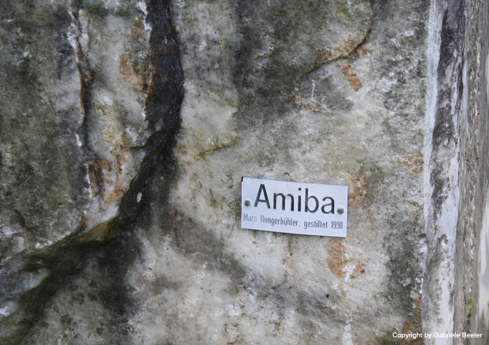 Kruegerpaerkli-Matinee   019