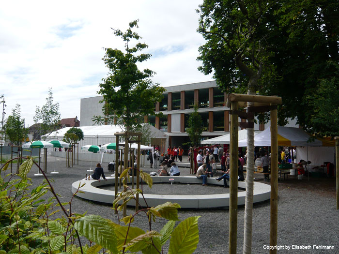 Schulhaus Schoenewegen   029