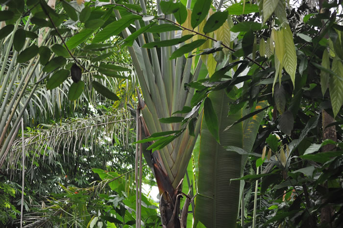 QV-Ausflug - Masoalahalle 11