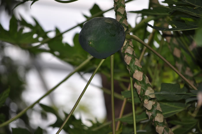 QV-Ausflug - Masoalahalle 17