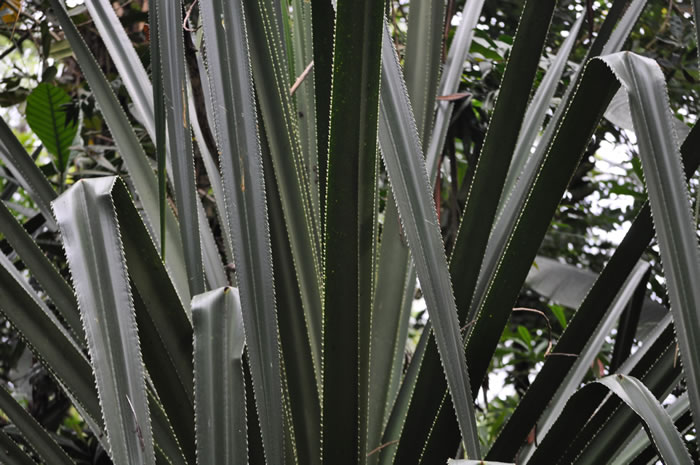 QV-Ausflug - Masoalahalle 18