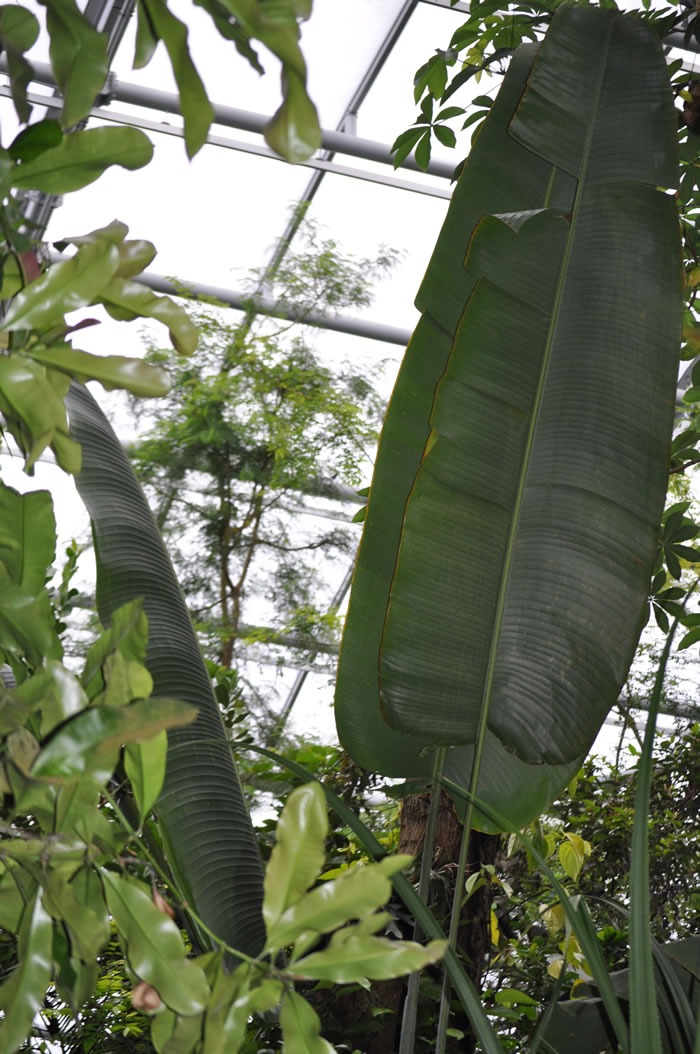 QV-Ausflug - Masoalahalle 23