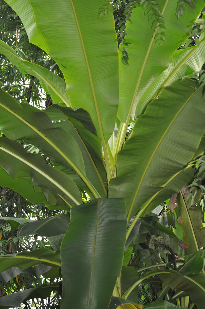 QV-Ausflug - Masoalahalle 24