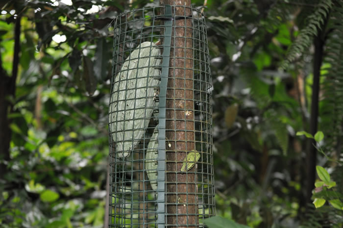 QV-Ausflug - Masoalahalle 27