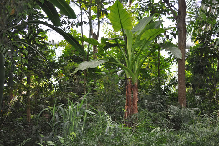 QV-Ausflug - Masoalahalle 28