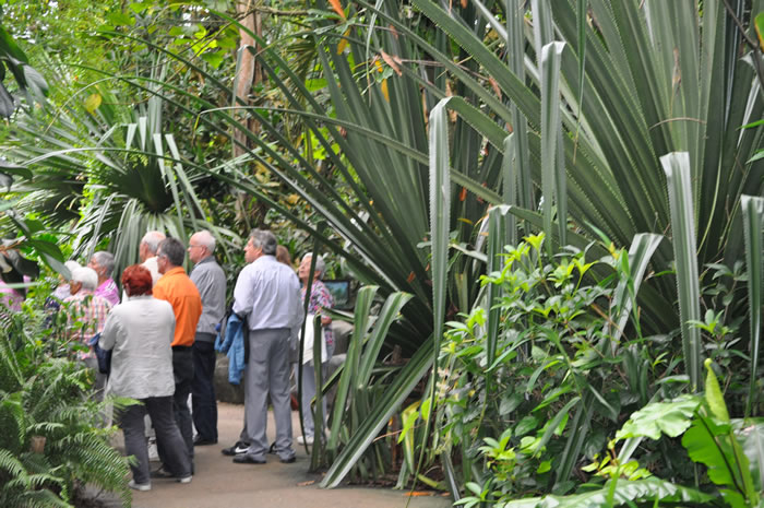 QV-Ausflug - Masoalahalle 29