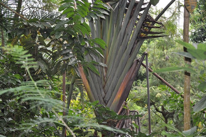 QV-Ausflug - Masoalahalle 31