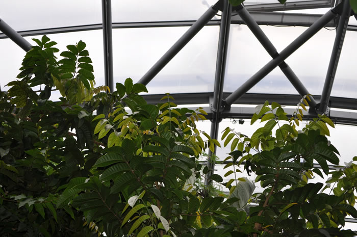 QV-Ausflug - Masoalahalle 33