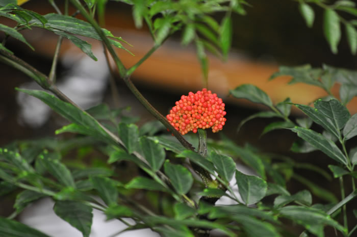 QV-Ausflug - Masoalahalle 37