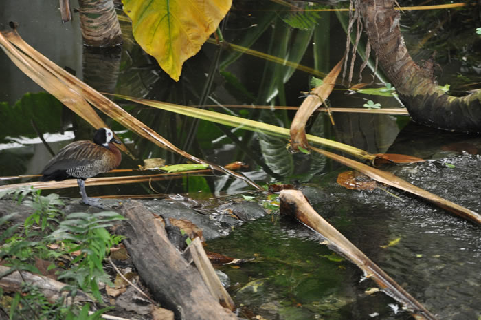 QV-Ausflug - Masoalahalle 38