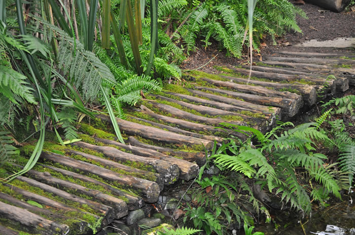 QV-Ausflug - Masoalahalle 39