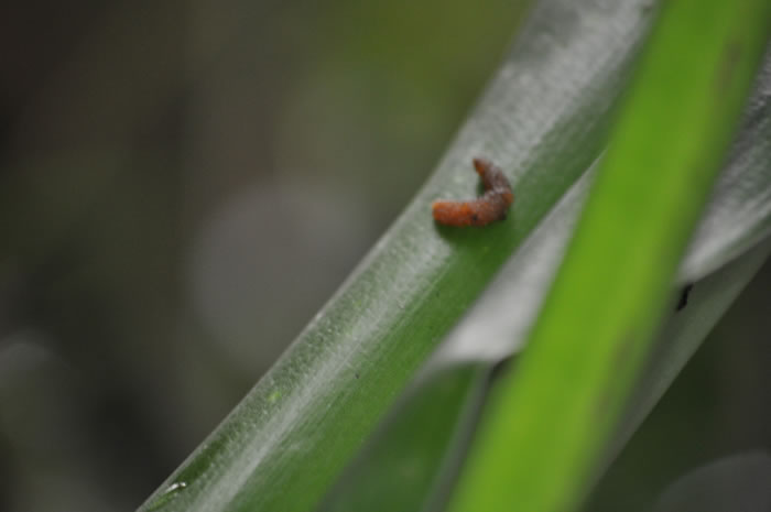 QV-Ausflug - Masoalahalle 40
