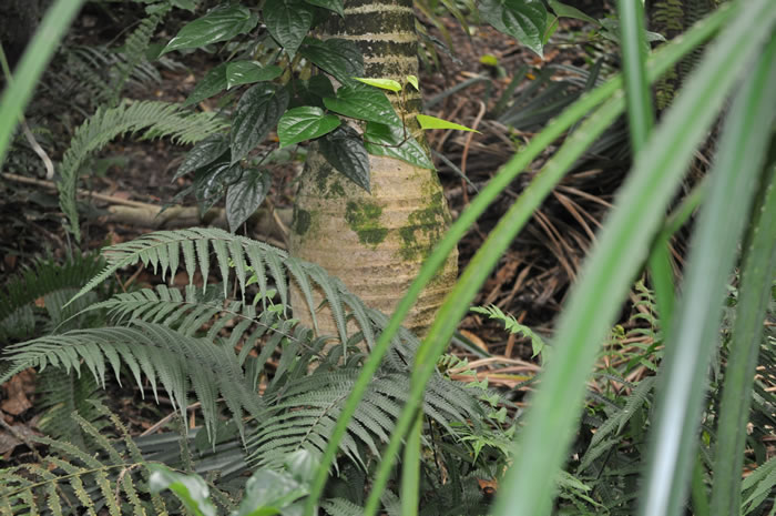 QV-Ausflug - Masoalahalle 41