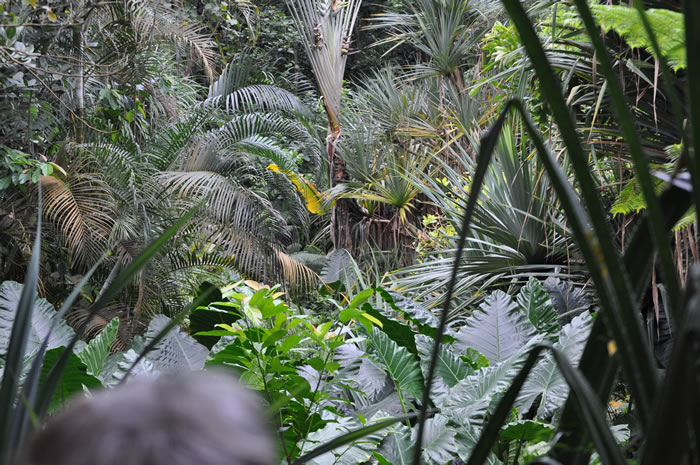 QV-Ausflug - Masoalahalle 42