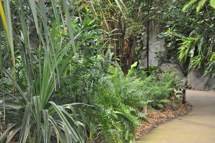 QV-Ausflug - Masoalahalle 43