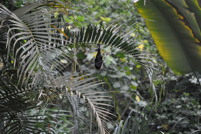 QV-Ausflug - Masoalahalle 44