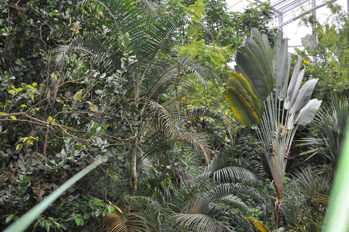 QV-Ausflug - Masoalahalle 45