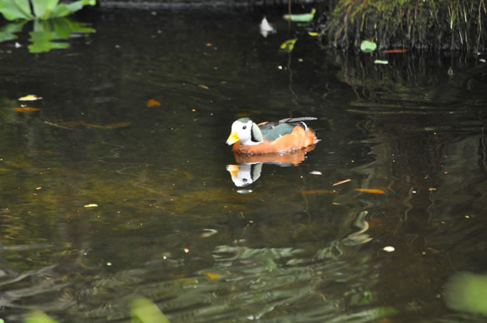 QV-Ausflug - Masoalahalle 48