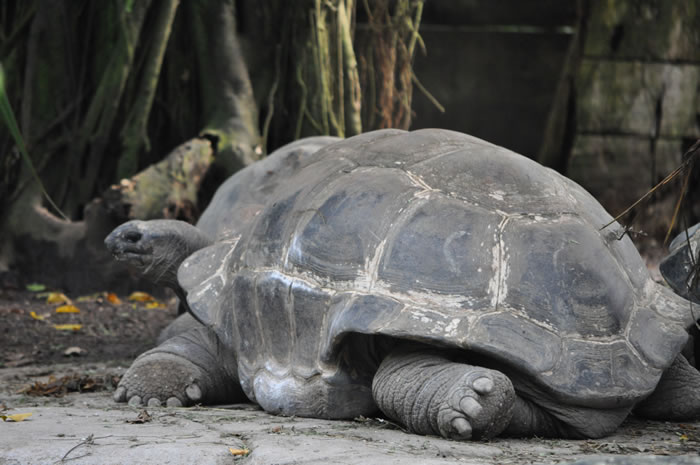 QV-Ausflug - Masoalahalle 49