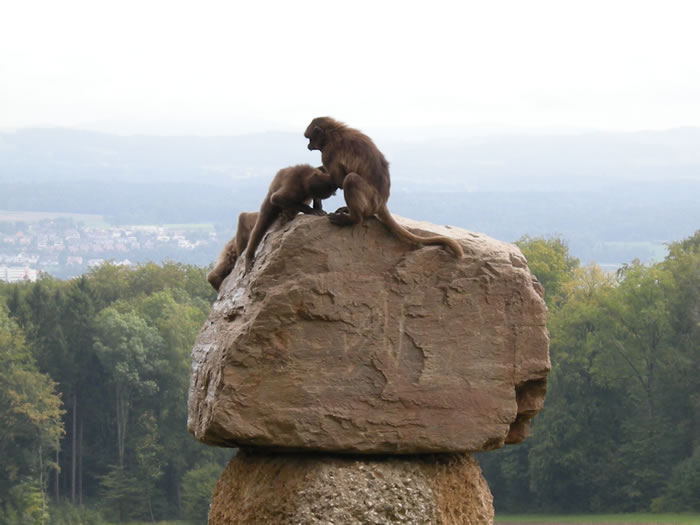 QV-Ausflug - Mittag 10