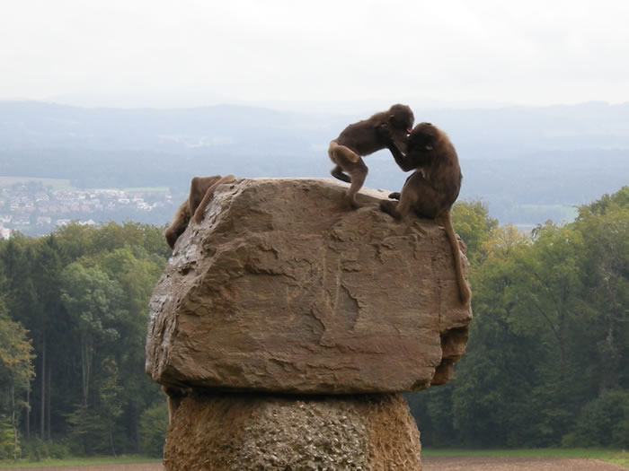 QV-Ausflug - Mittag 12