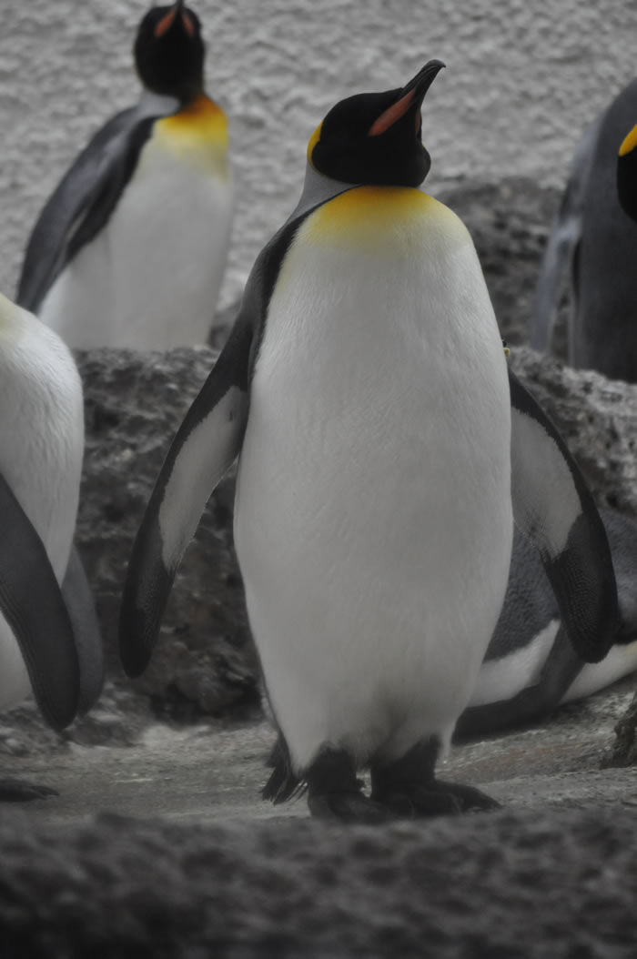 QV-Ausflug - Nachmittag 01