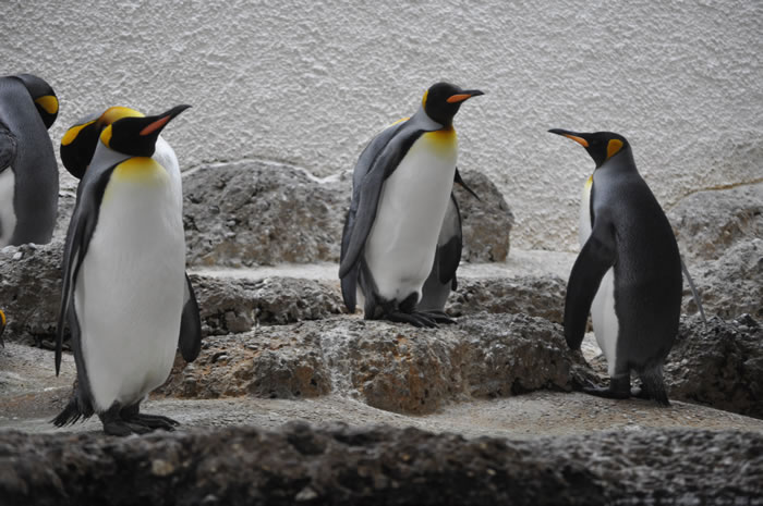 QV-Ausflug - Nachmittag 02