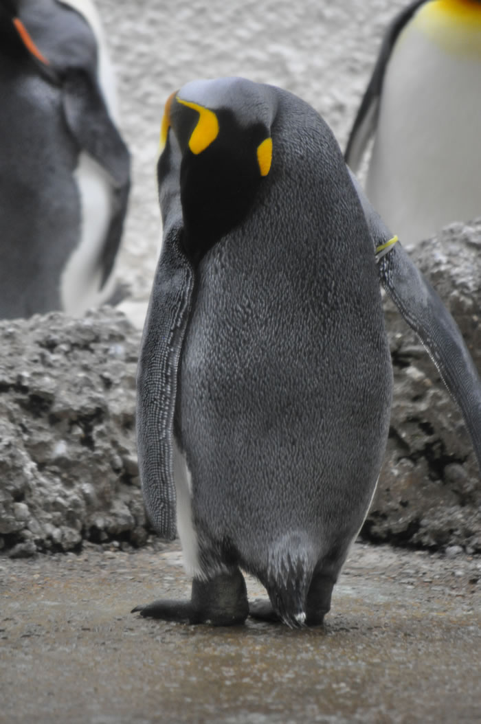 QV-Ausflug - Nachmittag 03