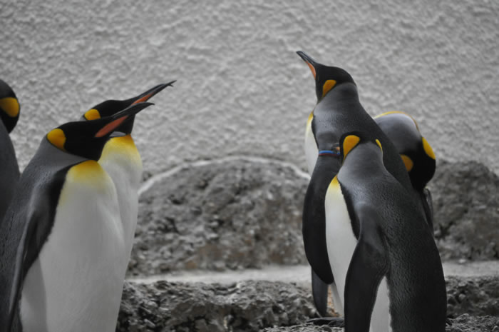 QV-Ausflug - Nachmittag 04