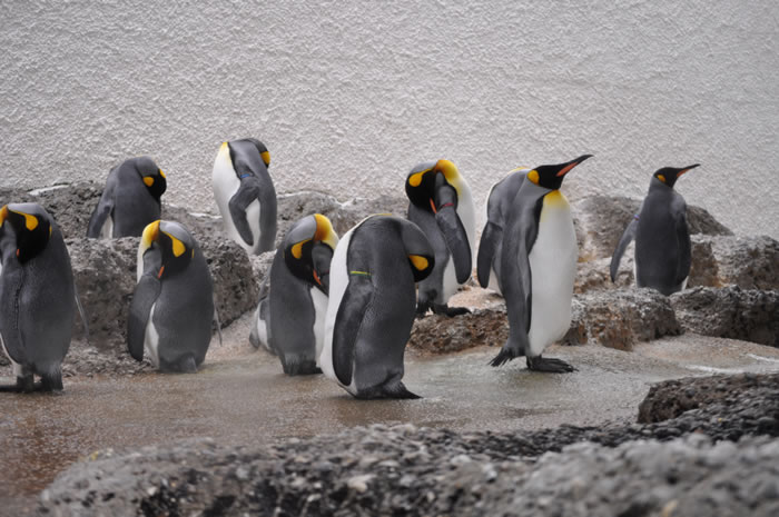 QV-Ausflug - Nachmittag 05