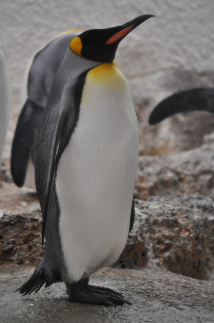 QV-Ausflug - Nachmittag 06