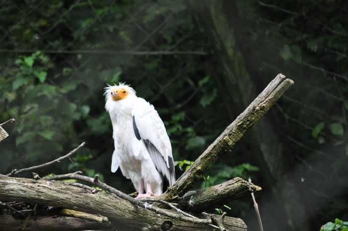 QV-Ausflug - Nachmittag 07