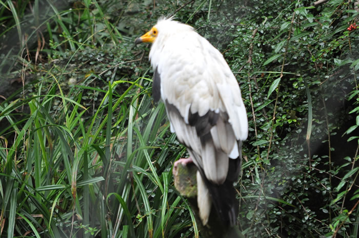 QV-Ausflug - Nachmittag 08