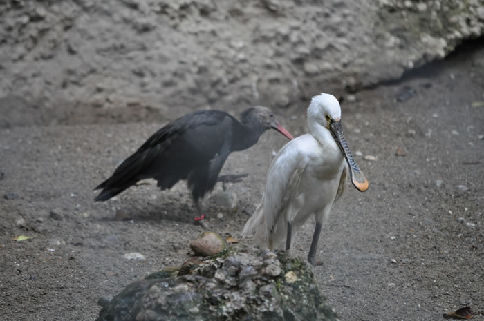 QV-Ausflug - Nachmittag 09