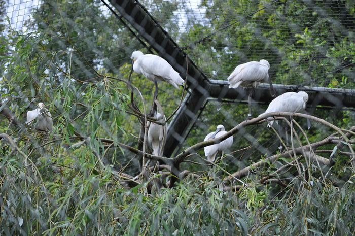 QV-Ausflug - Nachmittag 10
