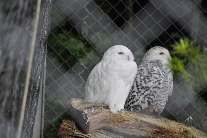 QV-Ausflug - Nachmittag 11