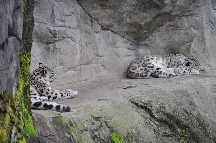 QV-Ausflug - Nachmittag 12