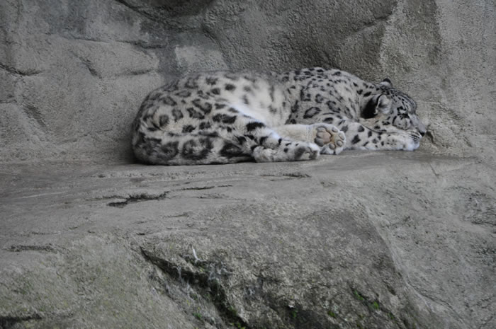 QV-Ausflug - Nachmittag 13