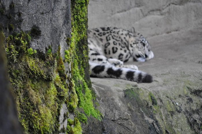 QV-Ausflug - Nachmittag 14