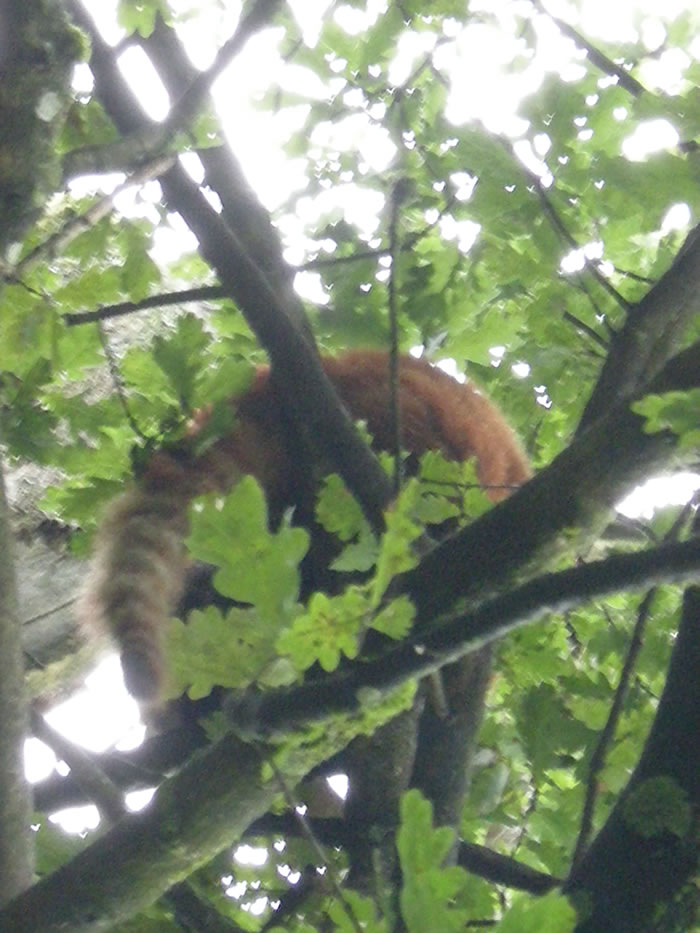 QV-Ausflug - Nachmittag 15