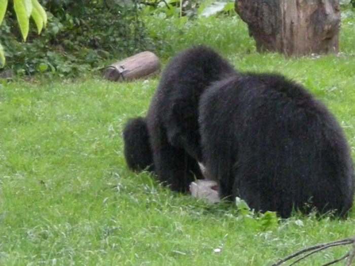 QV-Ausflug - Nachmittag 16