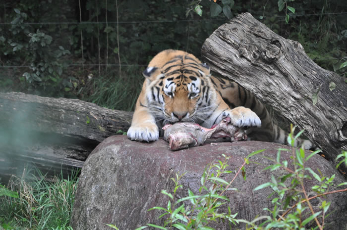 QV-Ausflug - Nachmittag 17