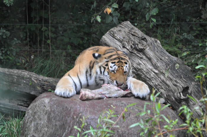 QV-Ausflug - Nachmittag 18
