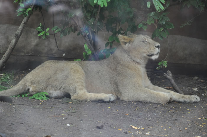 QV-Ausflug - Nachmittag 19