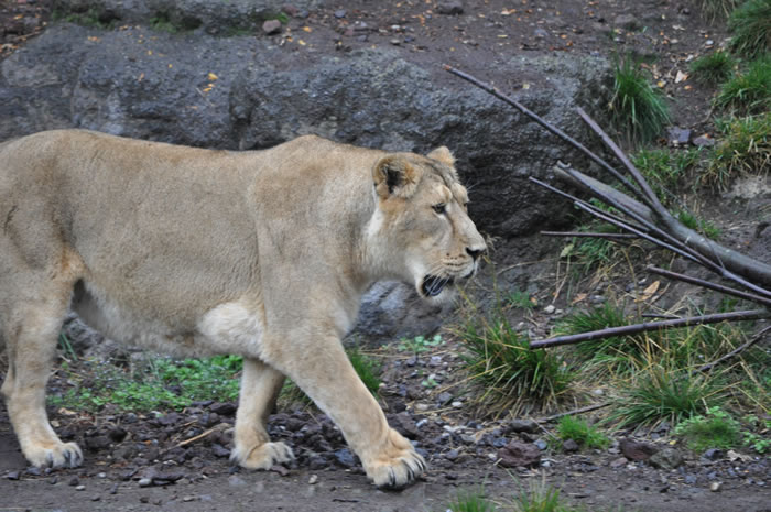 QV-Ausflug - Nachmittag 20