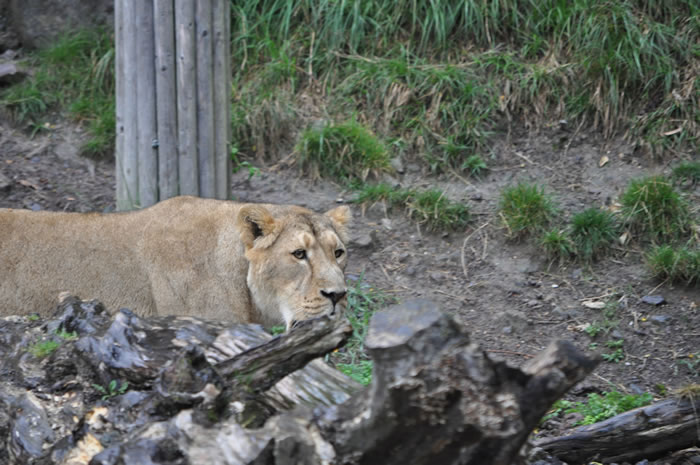 QV-Ausflug - Nachmittag 21